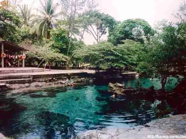 Nota sobre Ojo de Agua de Tlacotepec, Oaxaca