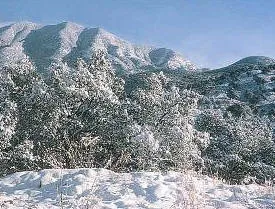 Imagen de Alamos Pueblo Magico Sonora