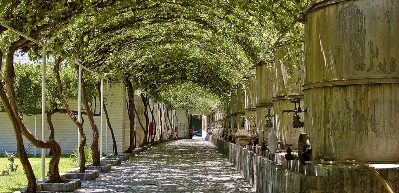 Imagen de Parras de la Fuente Pueblo Magico