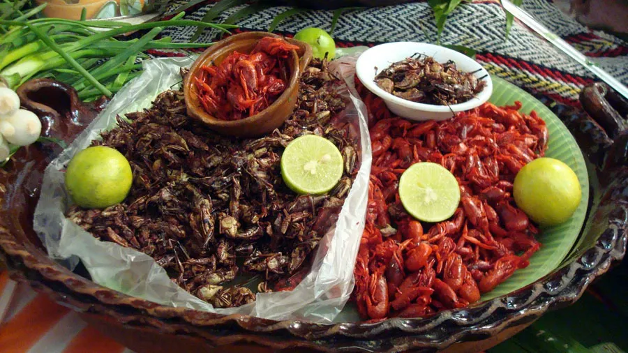 Nota sobre Pueblos Mágicos y gastronomía con insectos