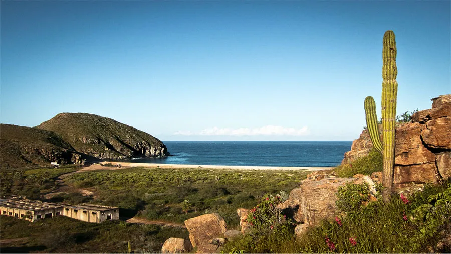 Nota sobre Por qué vale la pena visitar Todos Santos