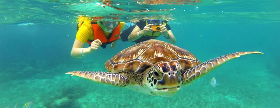 Nota sobre Parque Tortugranja, Quintana Roo