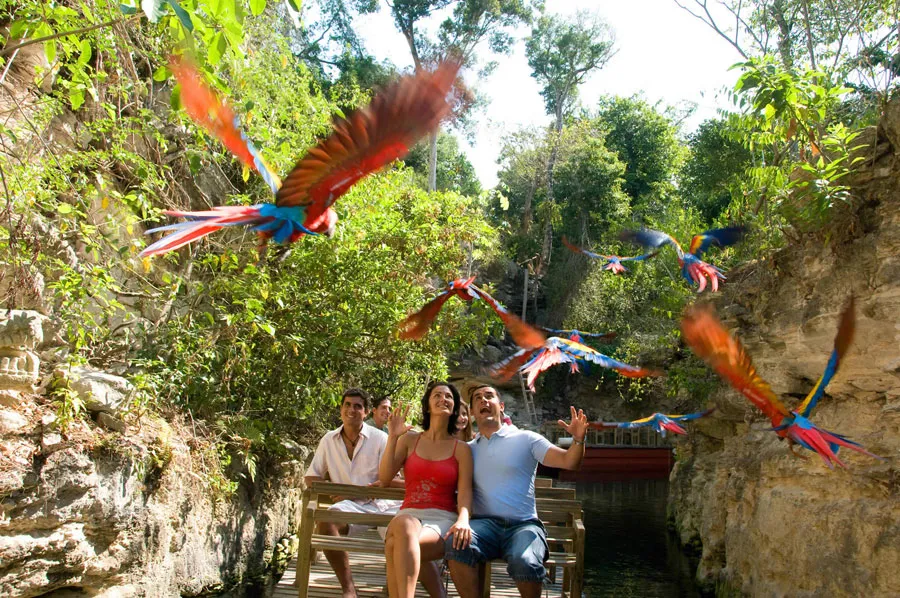 Nota sobre Parque Puerto Aventuras, Quintana Roo