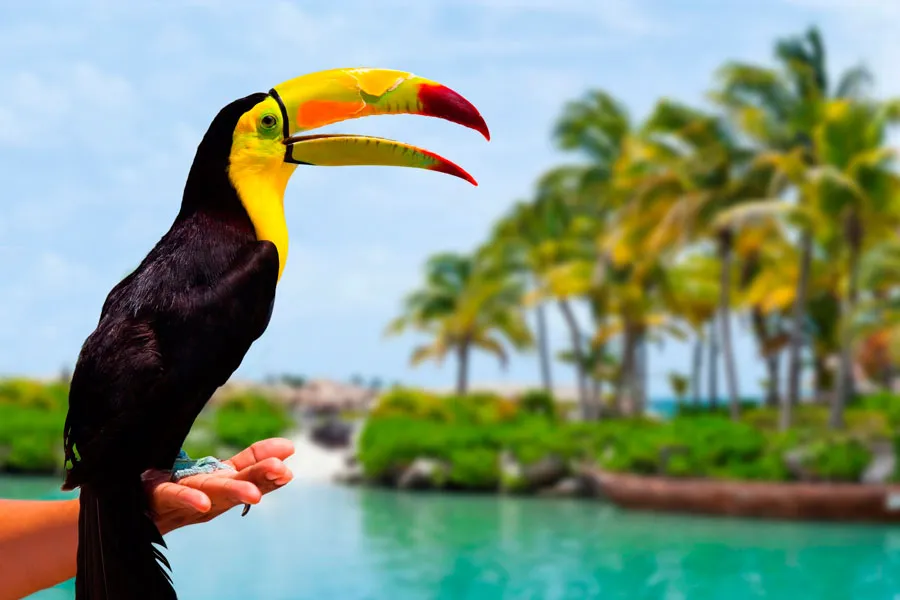 Nota sobre Parque Kantun Chi, Quintana Roo