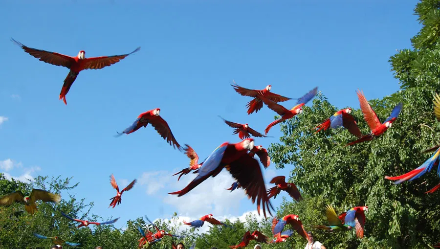 Nota sobre Parque Chankanaab, Quintana Roo