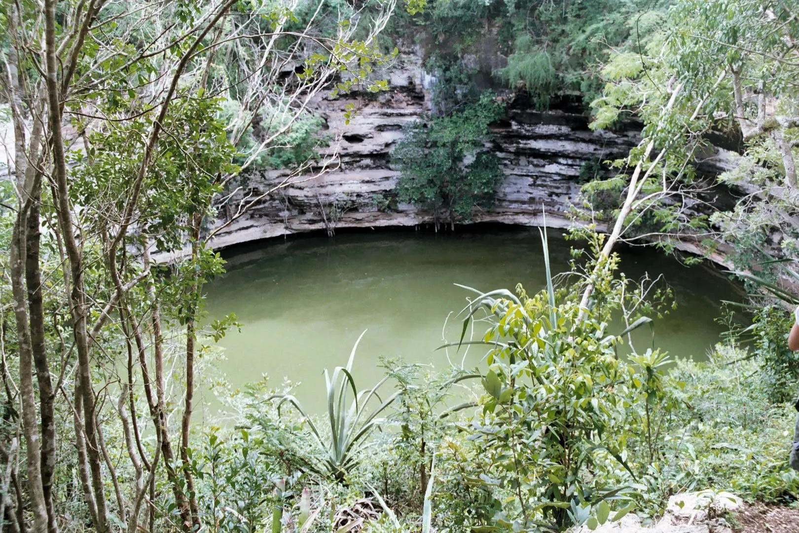 Nota sobre El Cenote Escondido, Quintana Roo