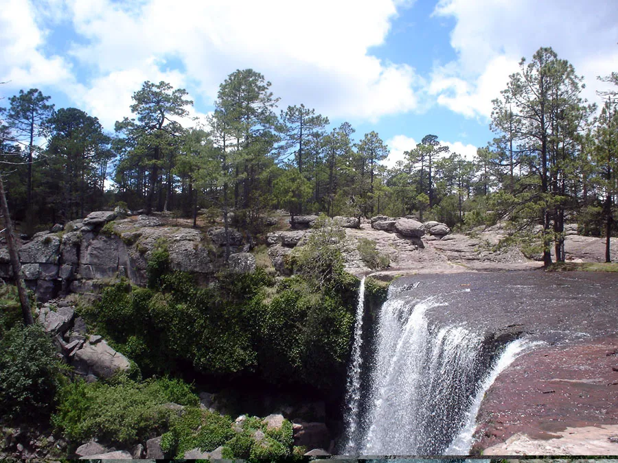 Nota sobre Reserva Ecológica Cascadas de Reforma, Tabasco