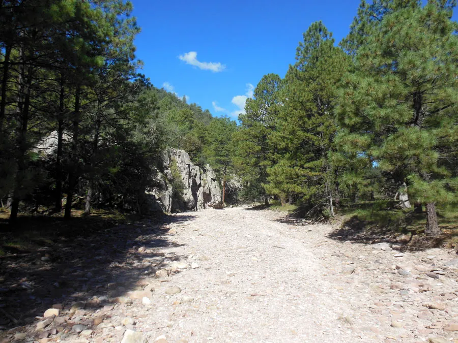 Nota sobre Reserva de la biosfera de Los Janos, Chihuahua