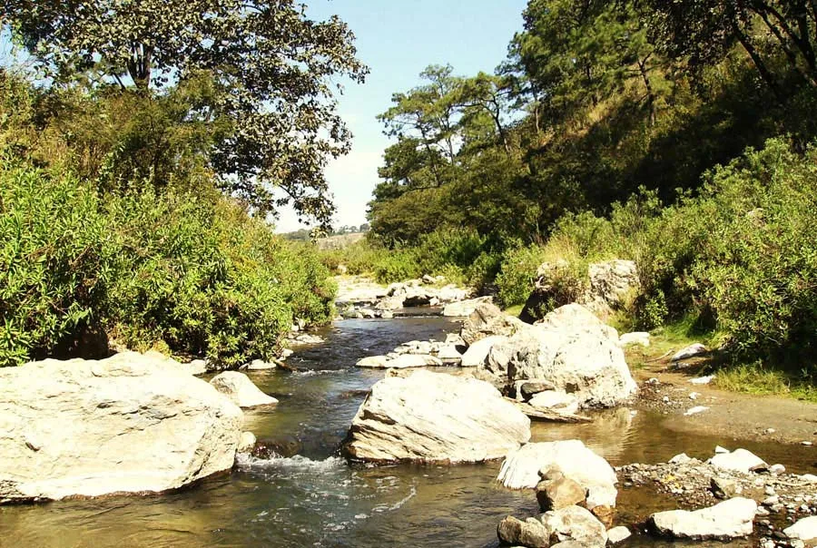 Nota sobre Reserva de la biosfera Bahía de los Angeles, Canales de Ballenas y Salsipuedes, Baja California