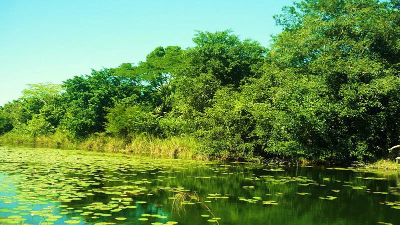 Nota sobre Reserva de la biosfera La Sierra Gorda, Guanajuato