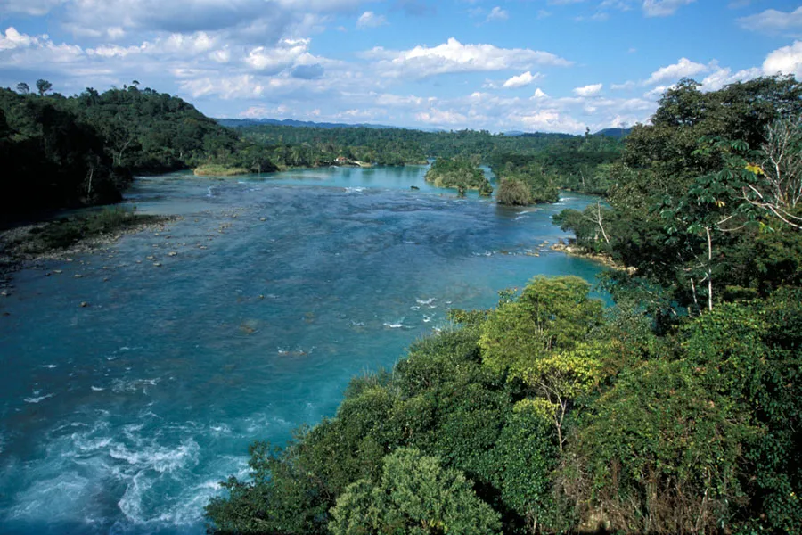 Nota sobre Reserva de la Biósfera El Triunfo, Chiapas