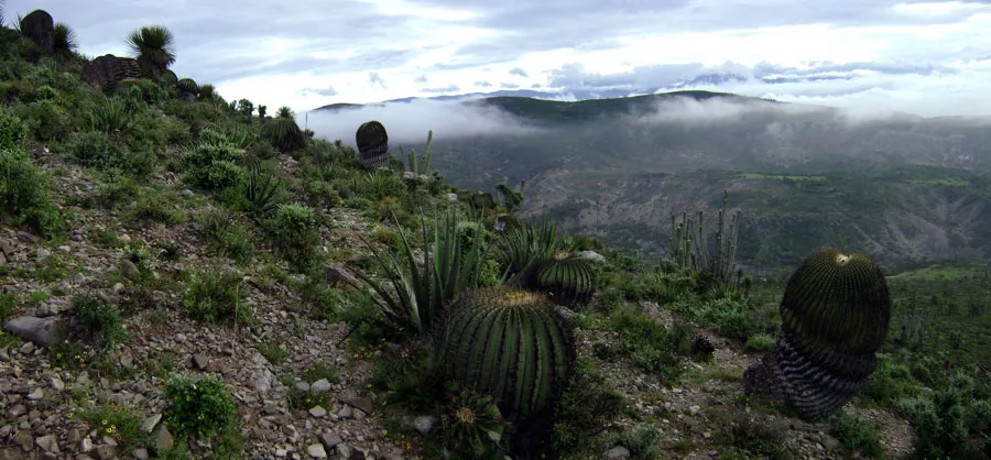 Nota sobre Volcán Tacaná, Chiapas