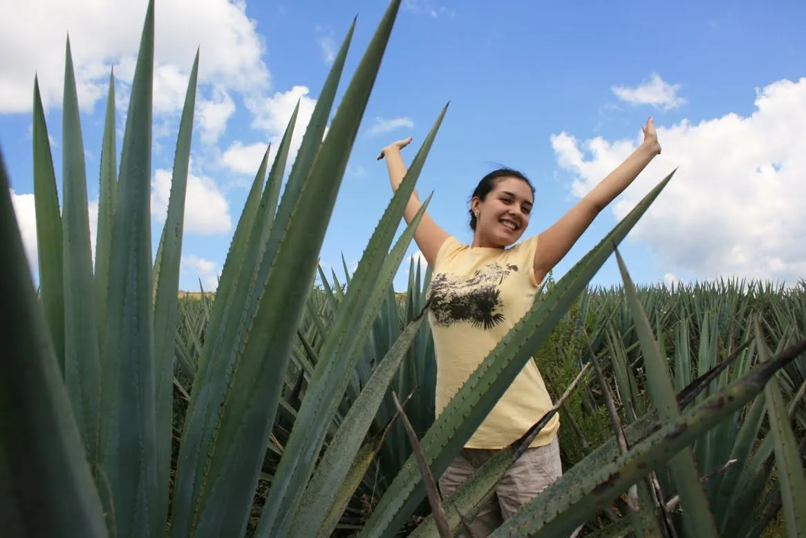 Nota sobre Recorridos turísticos en Pinos Zacatecas, Pueblo Mágico