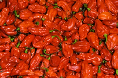 Nota sobre ¿Por qué los chiles son picosos?