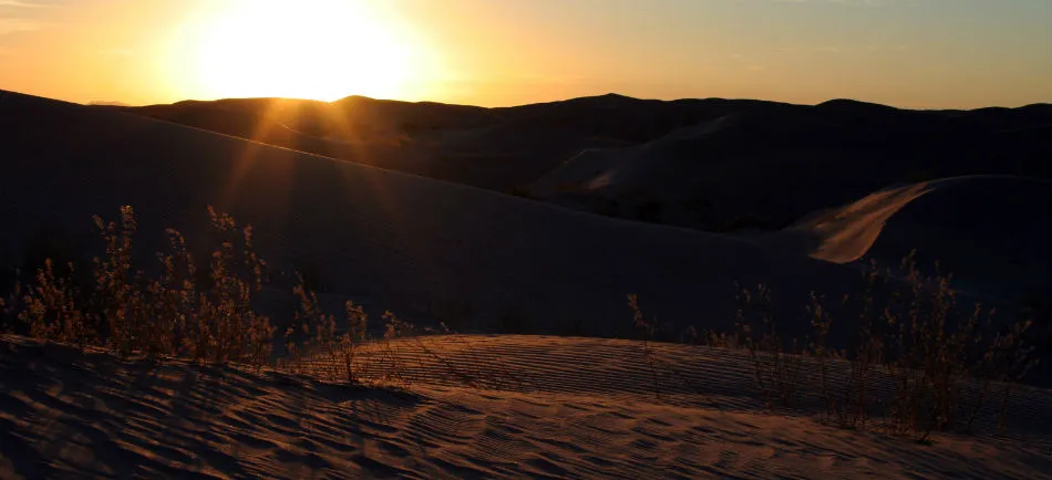 Nota sobre Ciudad Juárez y las dunas de Samalayuca