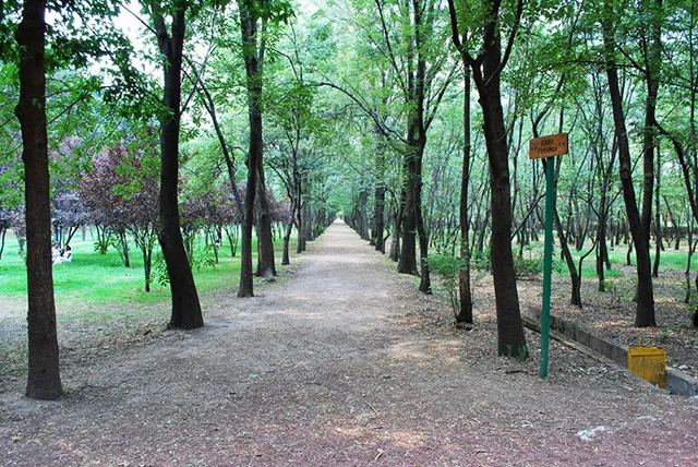 Nota sobre Viveros de Coyoacán México