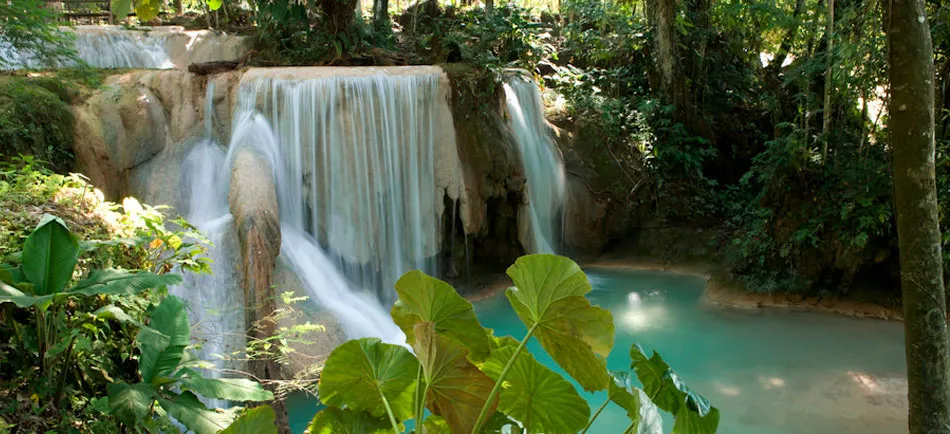 Nota sobre Siente las cascadas de Chiapas