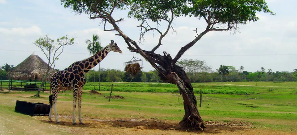 Nota sobre Parque Yumká en Tabasco un duende te aconseja