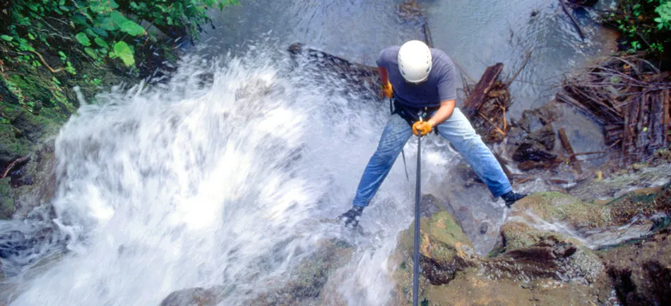 Nota sobre Tabasco, una caminata por el lado salvaje