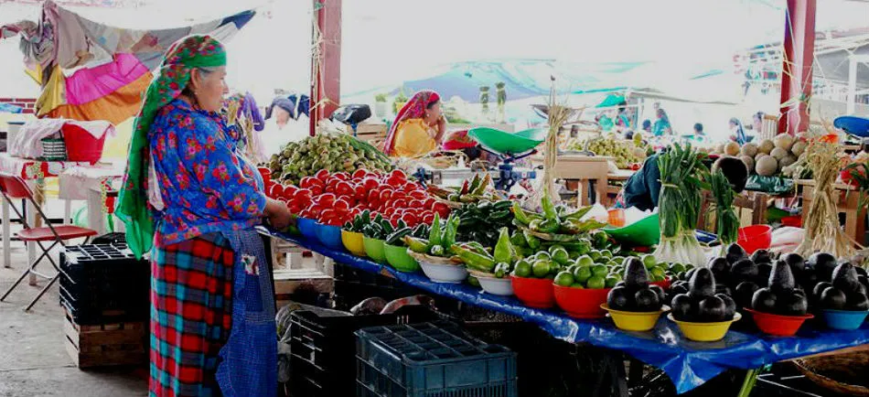 Nota sobre Tianguis de Tlacolula, un viaje en el tiempo