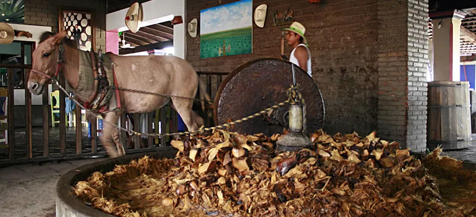 Nota sobre Oaxaca, corazón de cantera verde