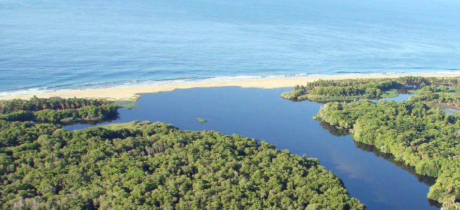 Nota sobre Laguna de Manialtepec Oaxaca