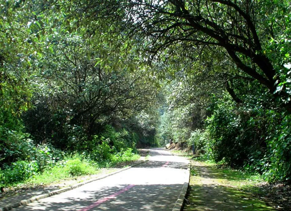 Nota sobre Atractivos naturales del Distrito Federal