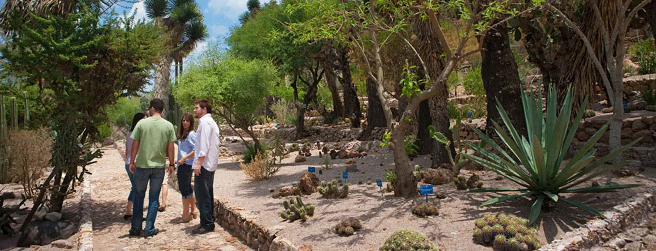 Nota sobre 4 días en la Sierra Gorda de Querétaro