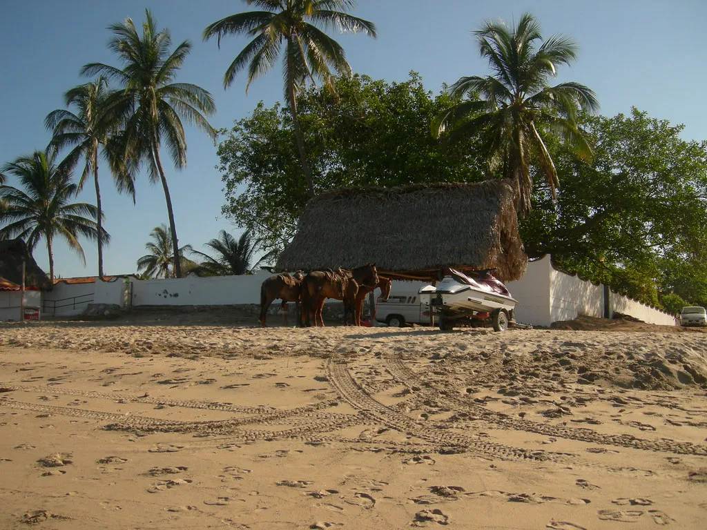 Nota sobre Visita Bahía de Bucerías, Nayarit, en las vacaciones