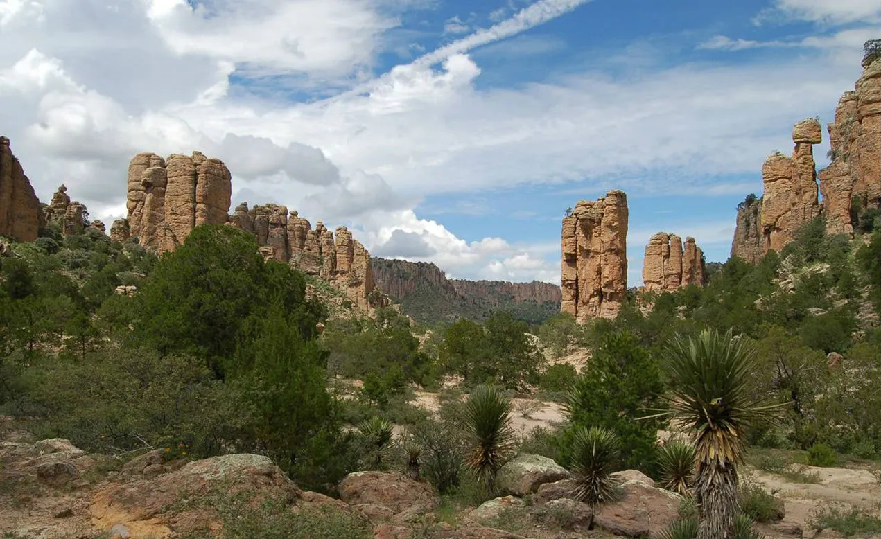 Nota sobre Curiosas formaciones rocosas de Sierra de Órganos, Zacatecas