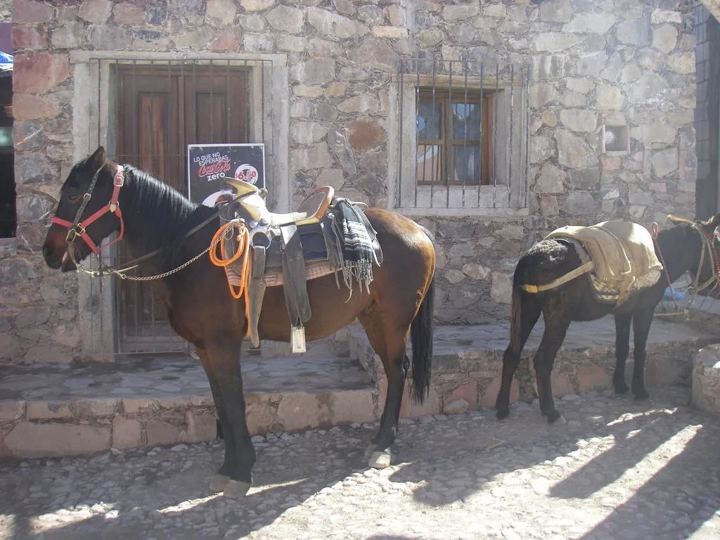 Nota sobre ¿Cómo transportarte en Real de Catorce?