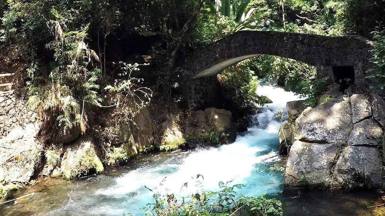 Nota sobre Disfruta de la naturaleza en el Parque Nacional de Uruapan