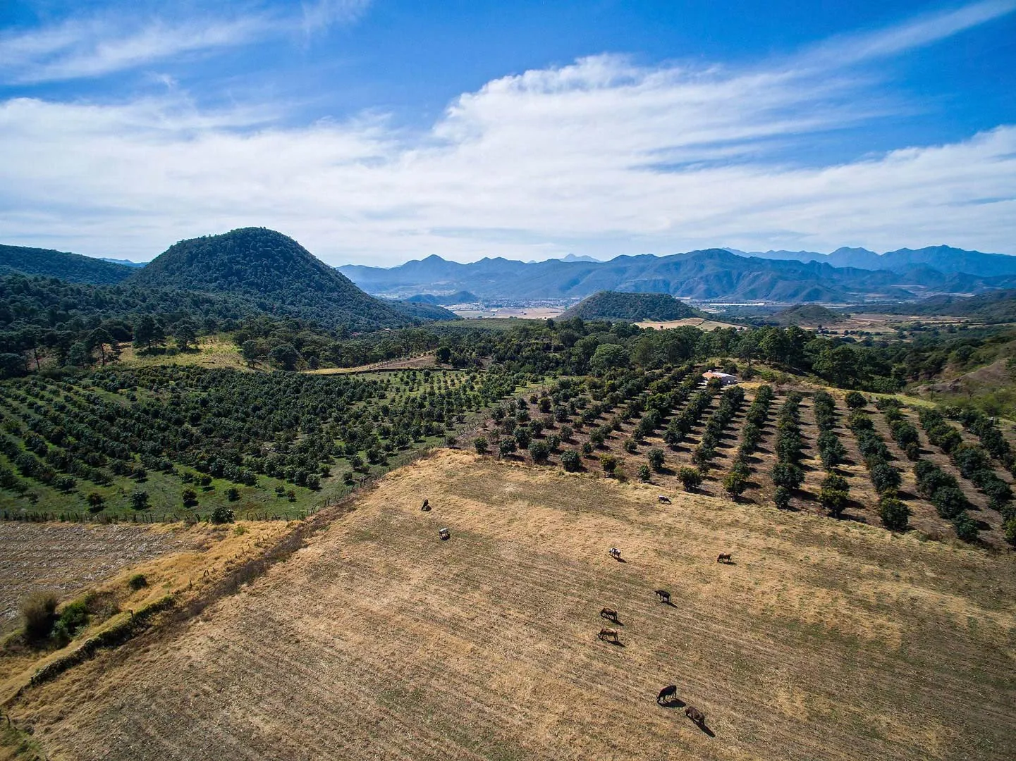 Nota sobre Arandas, un encantador municipio en Jalisco