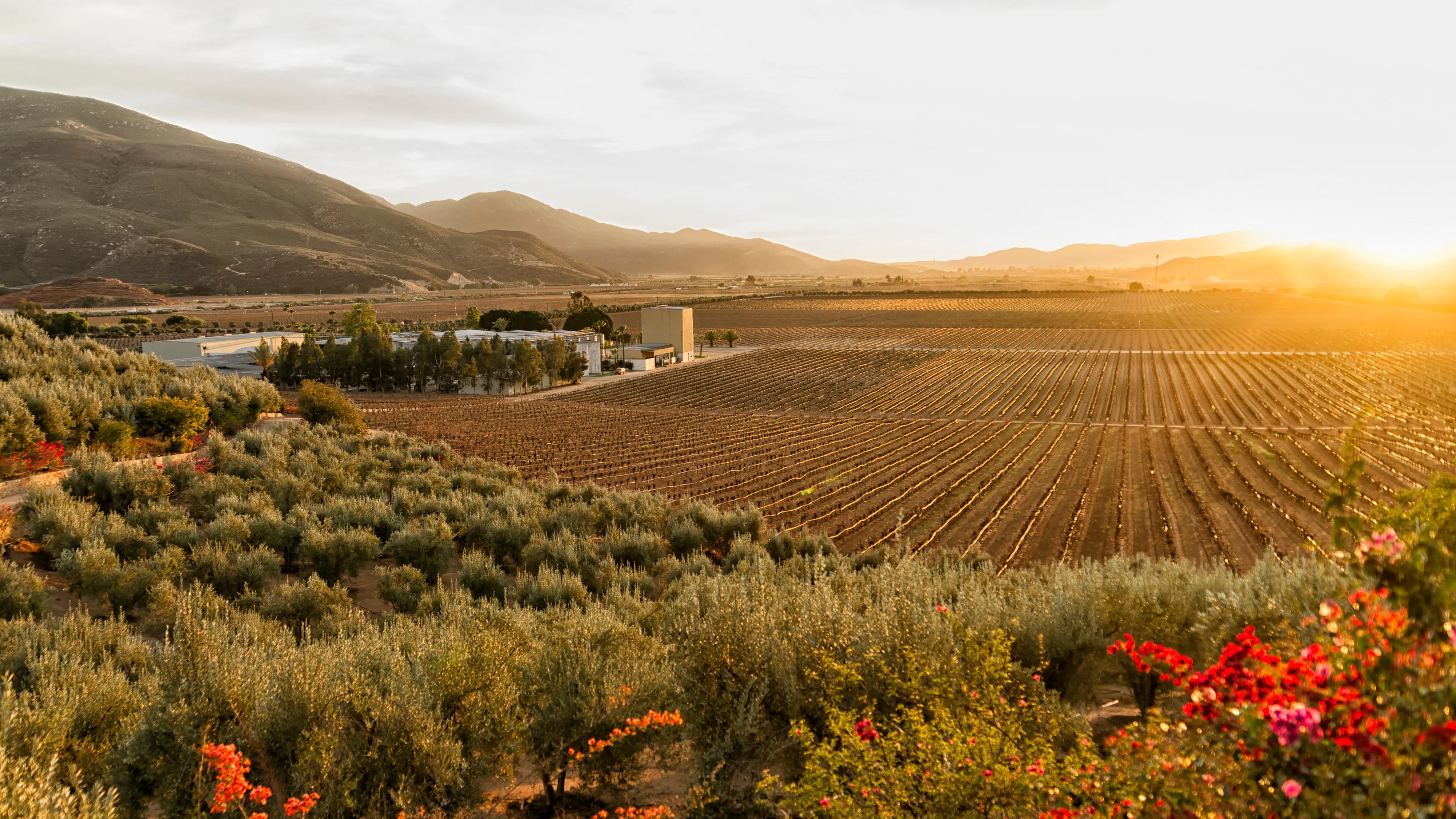 Nota sobre Prepárate para el clima de Valle de Guadalupe