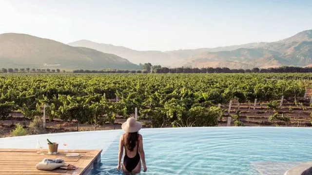 Nota sobre Diversión nocturna en Valle de Guadalupe, Baja California