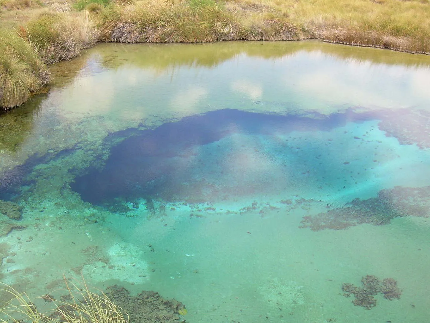 Nota sobre Descubre el pueblo de Venustiano Carranza; Cuatro Ciénegas, Coahuila