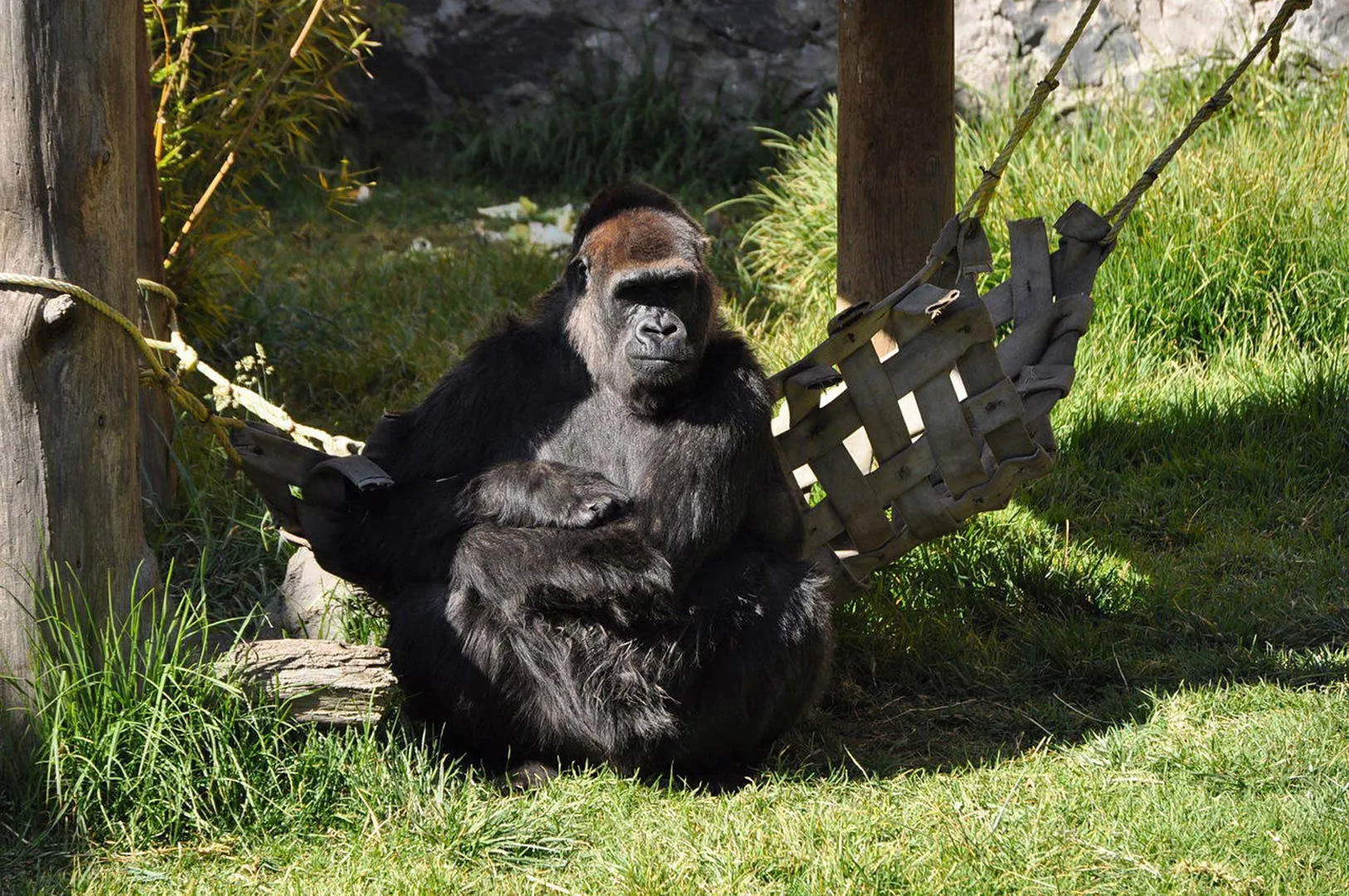 Nota sobre Fin de semana en el Zoológico de Zacango