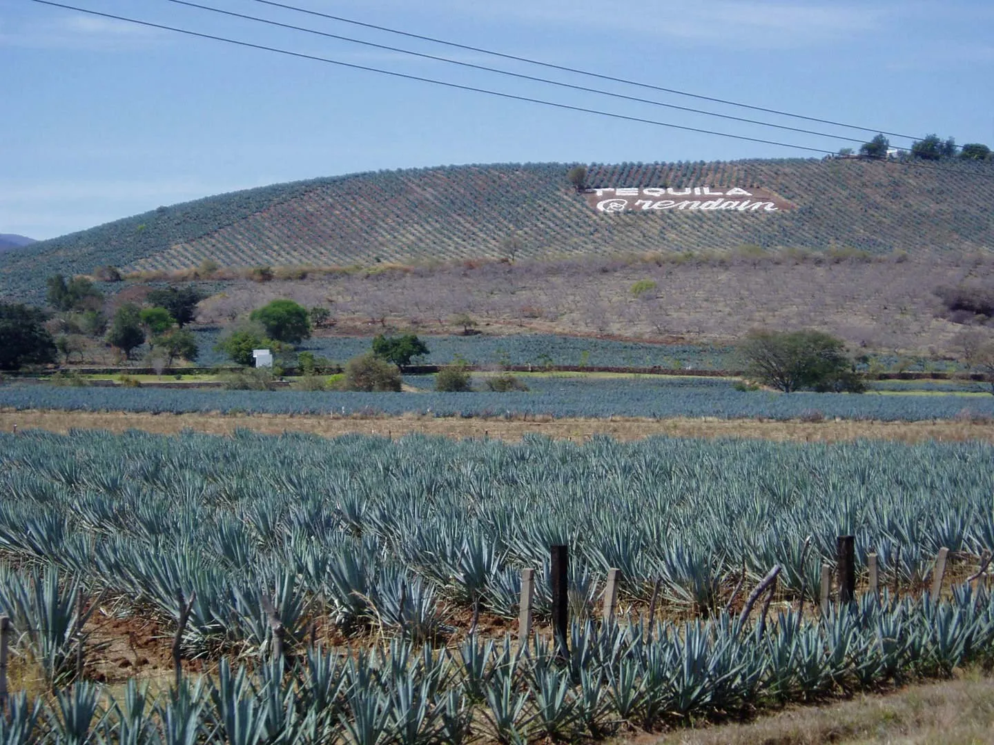 Nota sobre Vacaciones en Chiapas al natural