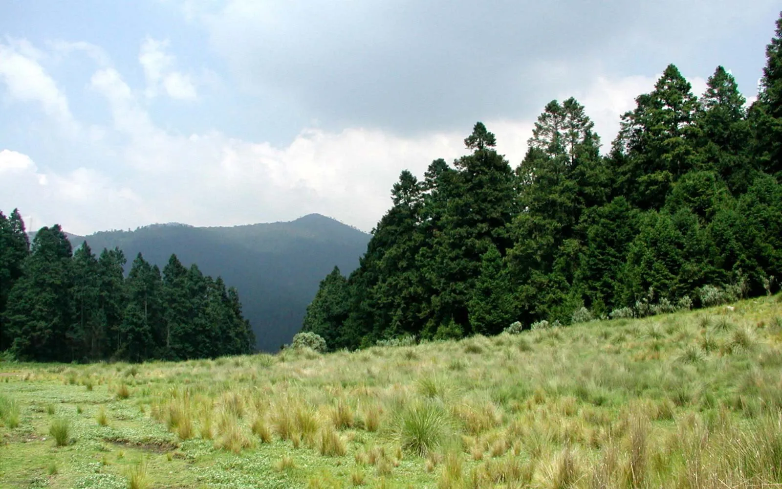 Nota sobre Disfruta del ecoturismo en Chiapas