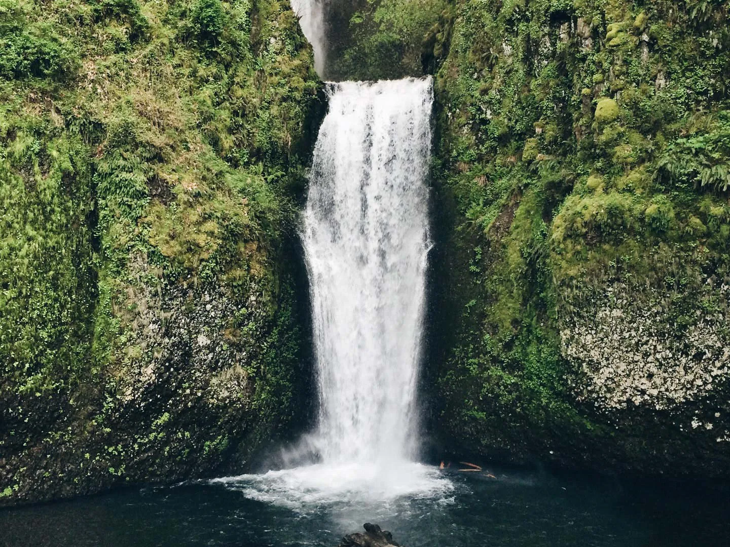 Nota sobre Visita las bellas cascadas de Chiapas