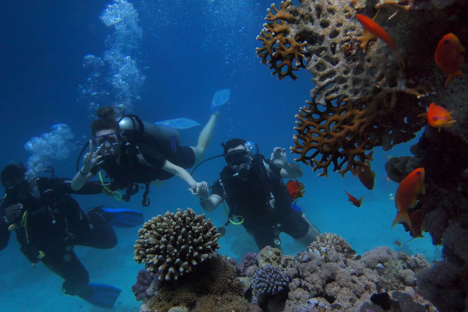 Nota sobre Practica el buceo en Ixtapa, Guerrero