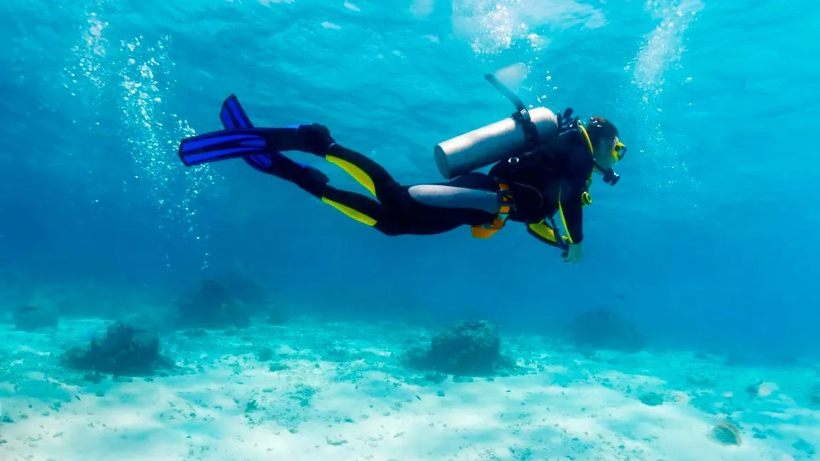 Nota sobre Aquí te decimos en dónde tomar cursos de buceo