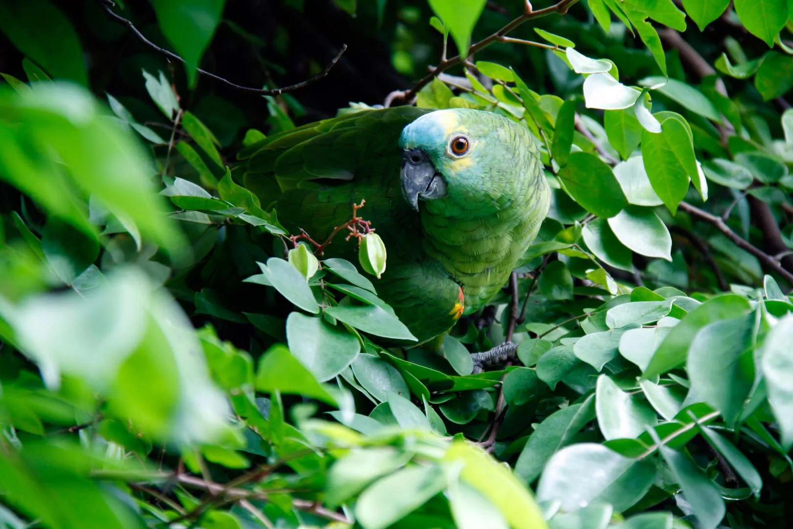 Nota sobre Hoteles ecológicos en la República Mexicana