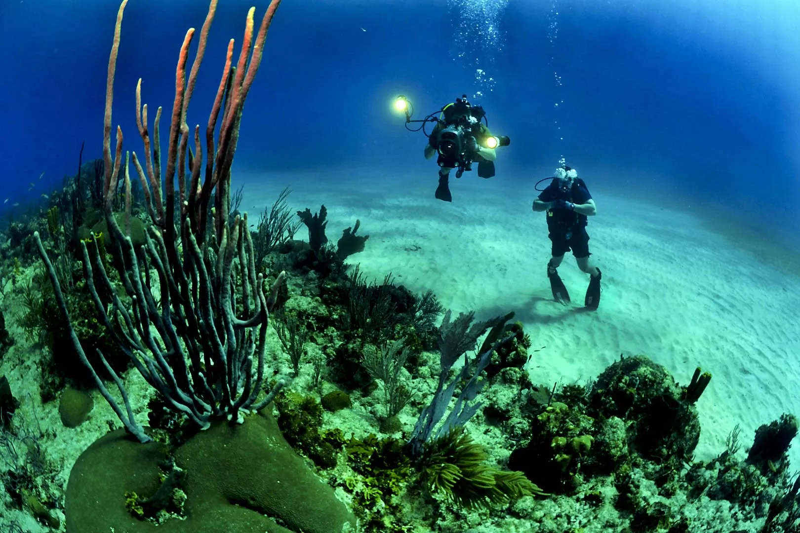 Nota sobre Elementos indispensables para el buceo