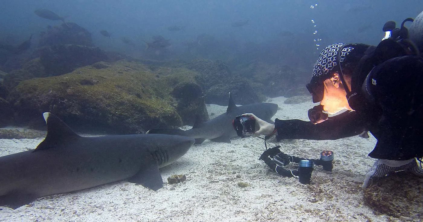 Nota sobre Conoce más detalles sobre el buceo industrial