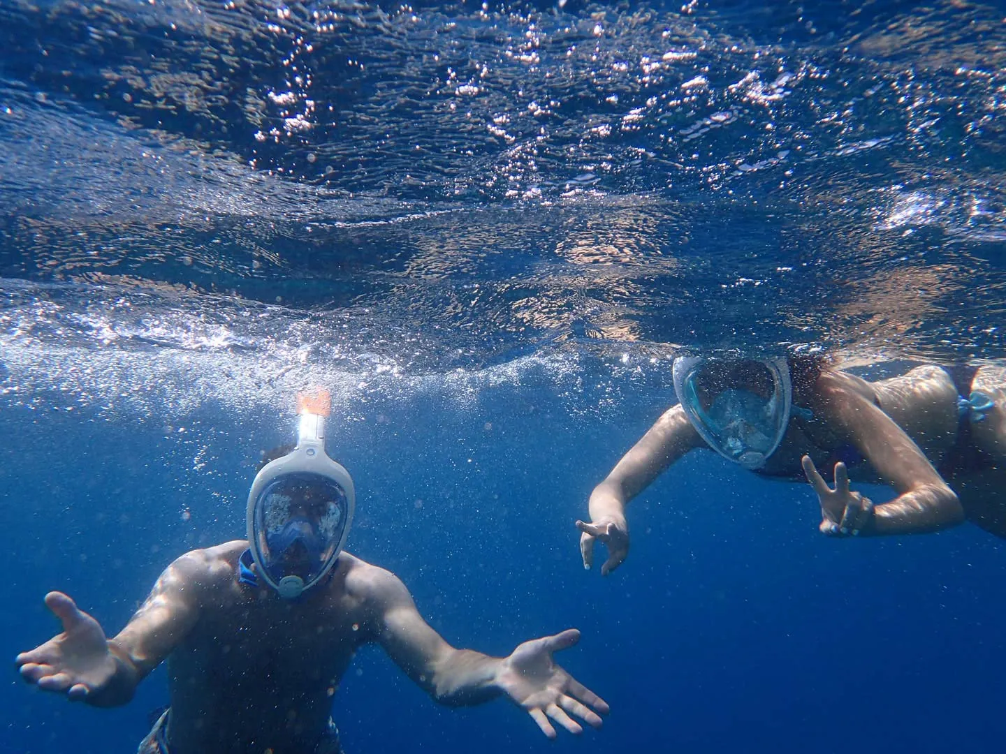 Nota sobre ¿Qué te ofrecen las escuelas de buceo?