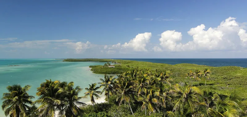 Nota sobre Parque Nacional Isla de Contoy, santuario de hermosas aves