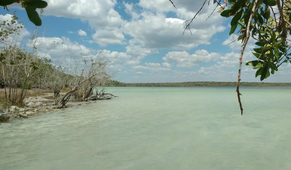 Nota sobre Atrévete a explorar el corazón maya