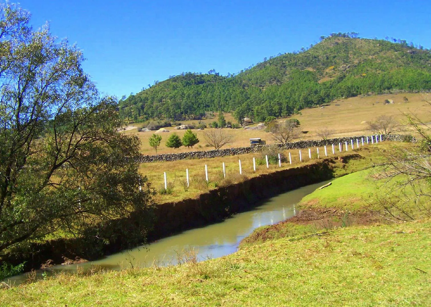 Nota sobre Tapalpa, pueblo relevante en Jalisco