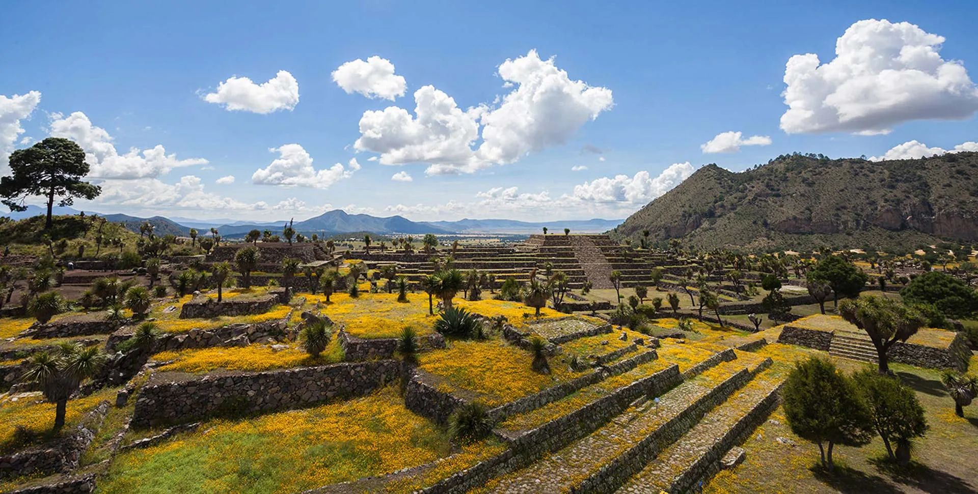 Nota sobre Sitio arqueológico de Dainzú, Oaxaca